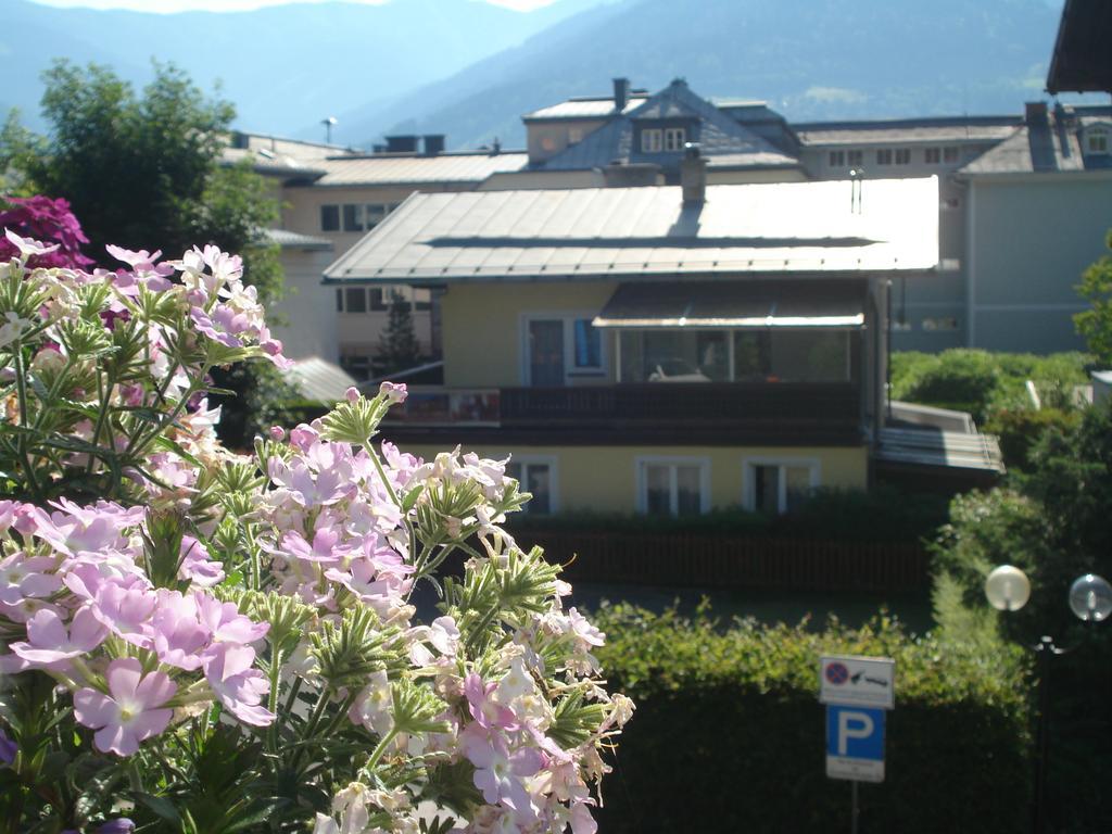 Pepi Guest house 3*